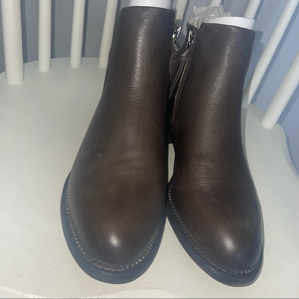 DSW Ankle boots